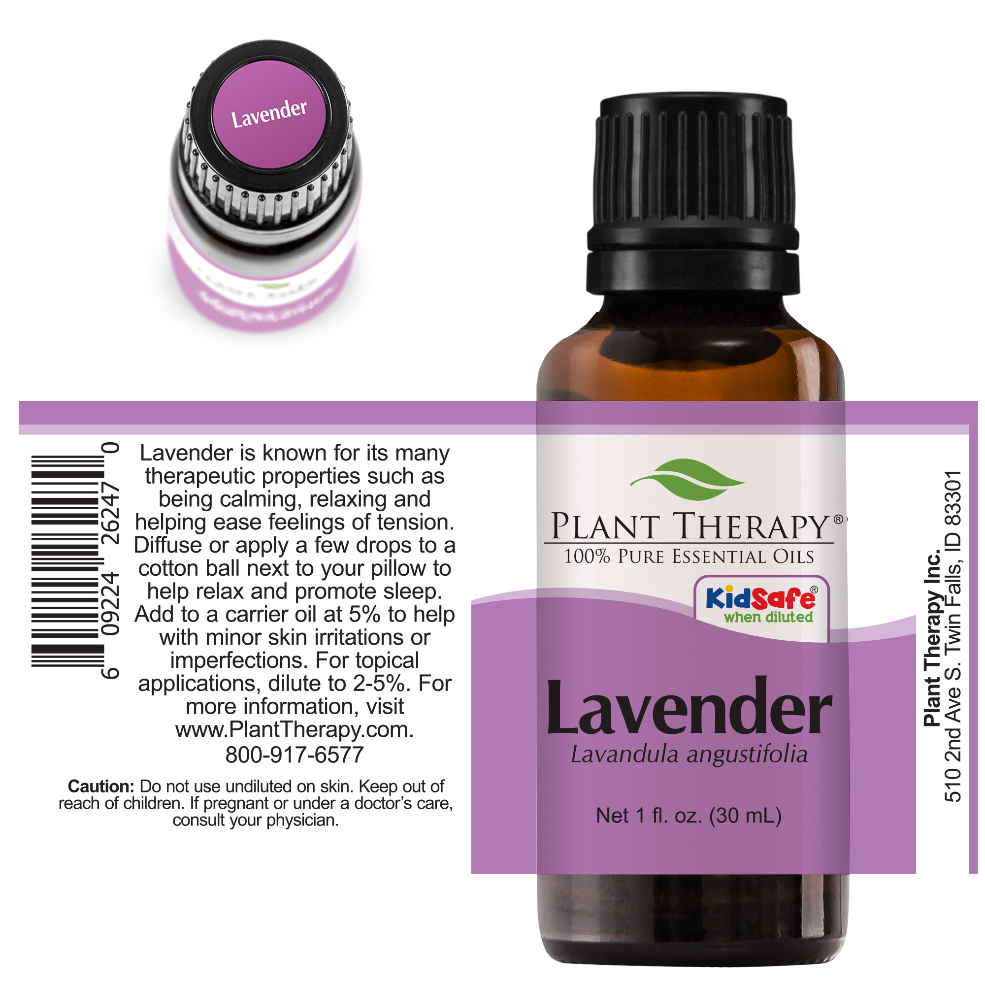 Plant Therapy Lavender Essential Oil Pure, Undiluted, Natural